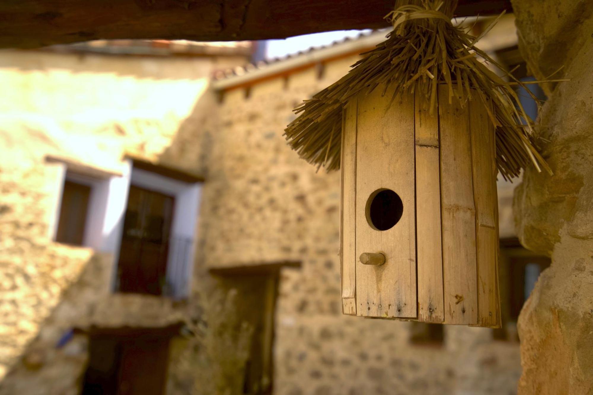 El Cau Dels Somnis Konuk evi La Cuevarruz Dış mekan fotoğraf